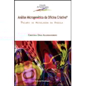 Análise microgenética da oficina criativa: projeto de modelagem em argila Análise microgenética da oficina criativa: projeto de modelagem em argila